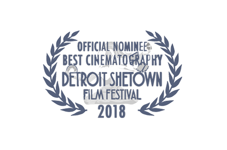 Detroit Shetown Film Festival